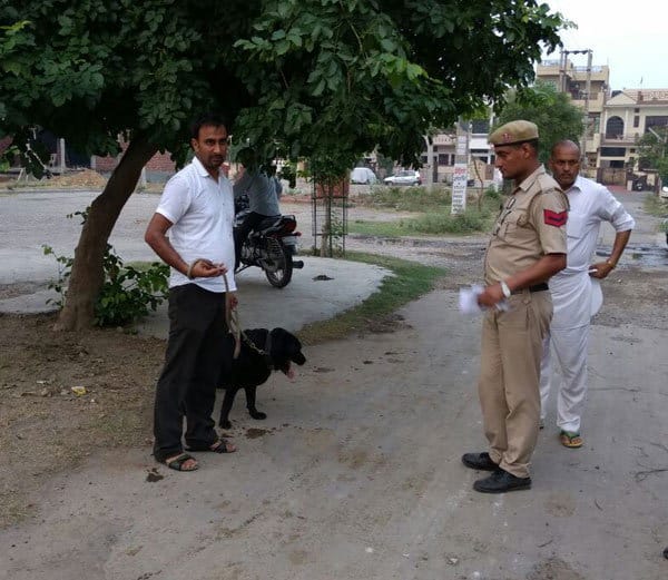 murder, sister murder, sister rape, minor girl rape, kurukshetra murder after rape, haryana