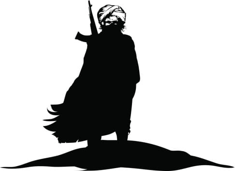 Al-Qaeda asks Indians to do lone-wolf attacks in country