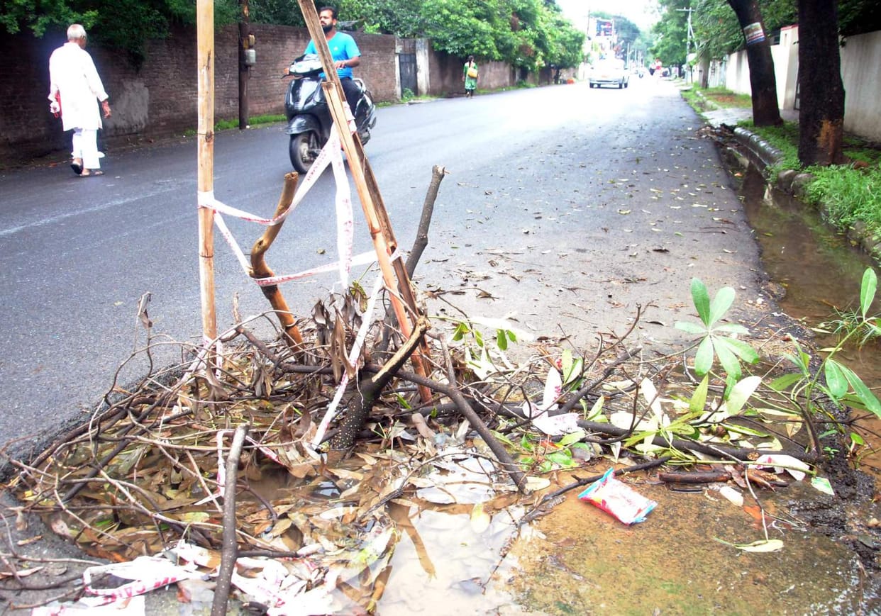 asian development bank carelessness big problem for public