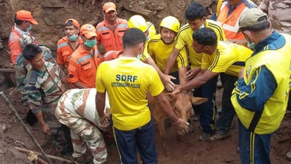 four more dead body found from bastari village.