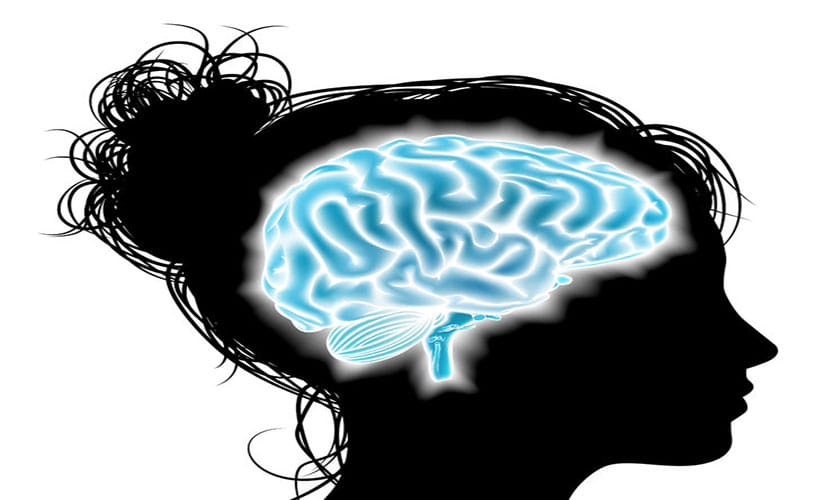 second brain in human body