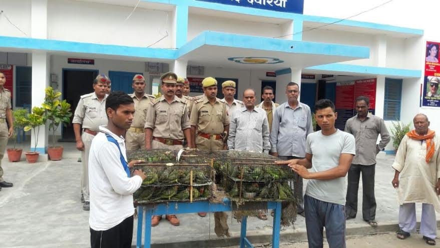 500 parrots free, two smugglers arrested