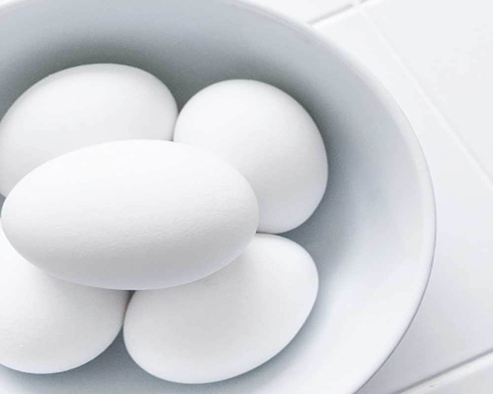 How to identify Plastic eggs or fake eggs FSSAI issued guideline