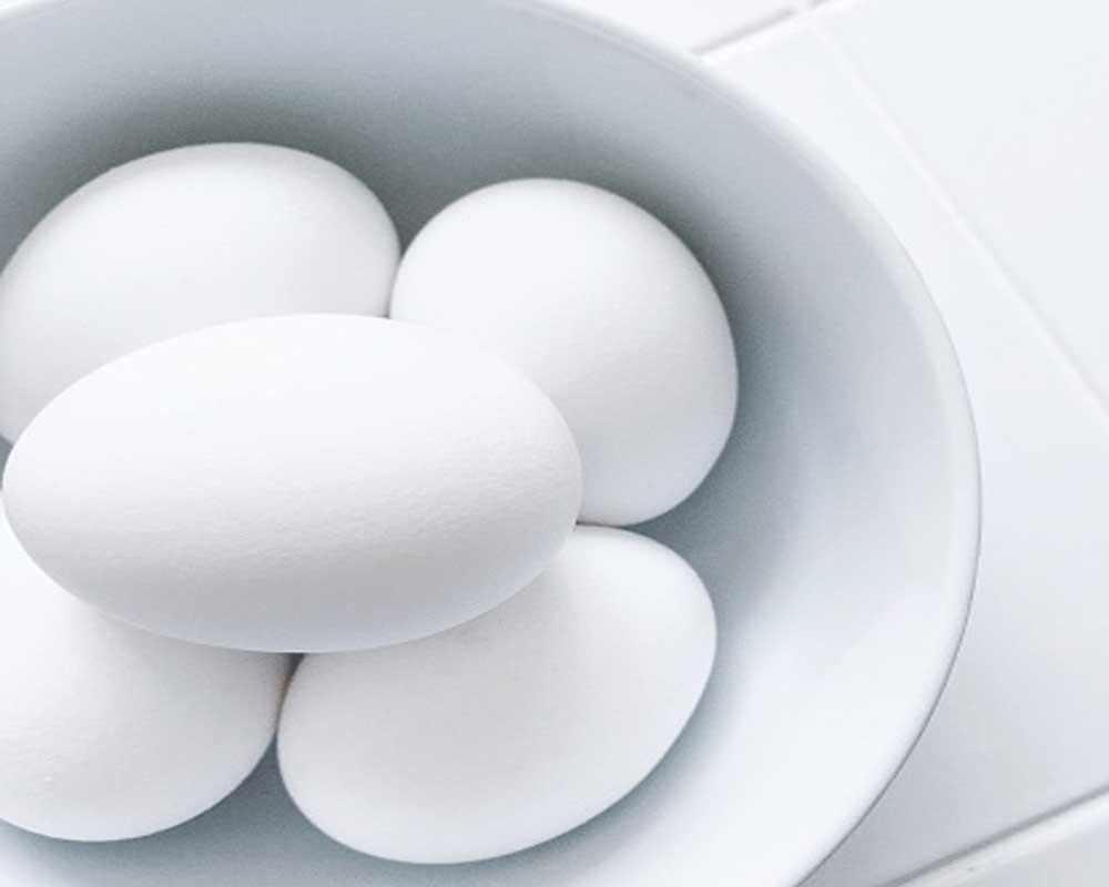 diet for six pack abs