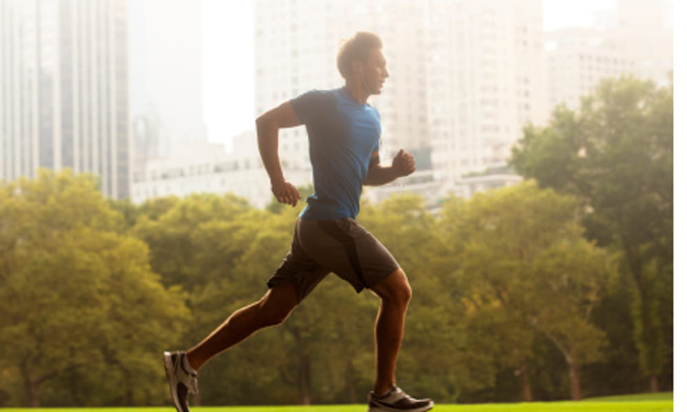 tips to loose belly fat easily