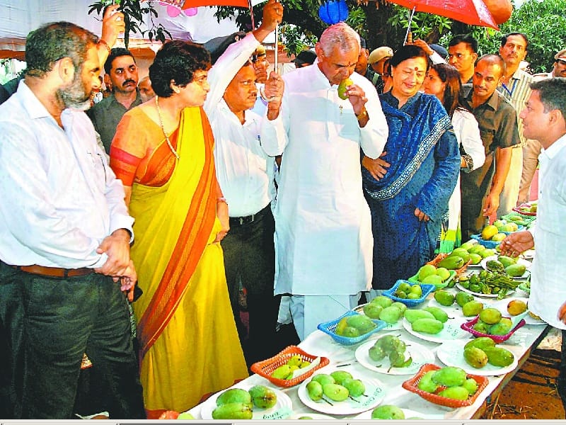 governor acharya devvrat, himachla governor mango fest visit, panchkula, pinjore, himachal pradesh 