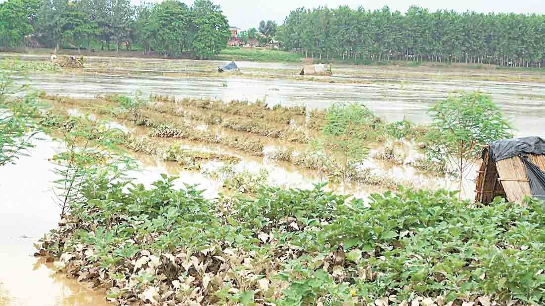Sharda's water level increased, 16 village surrounded by water
