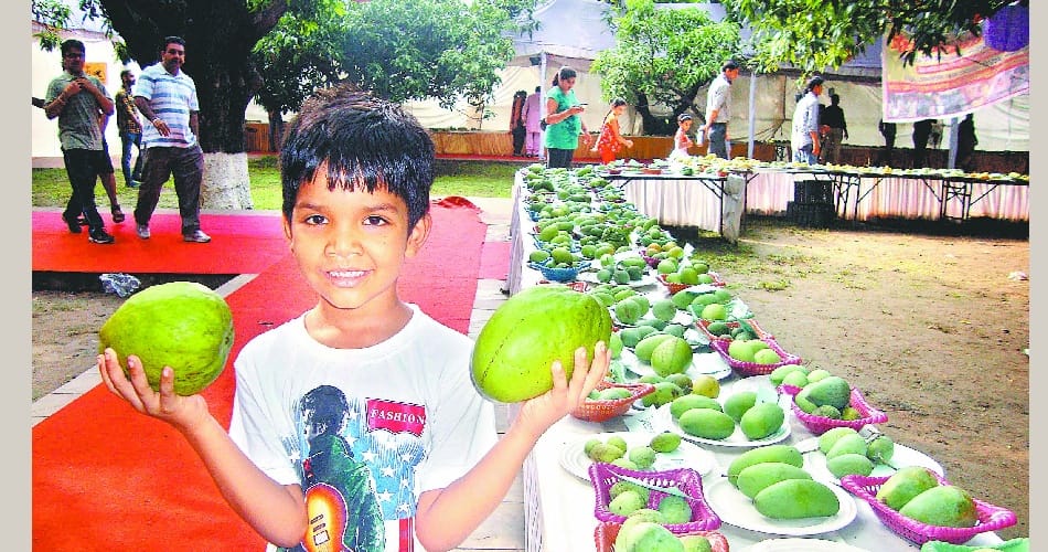 pinjore mango fest, yadvindra garden, pinjore garden, pinjore, panchkula, haryana tourism