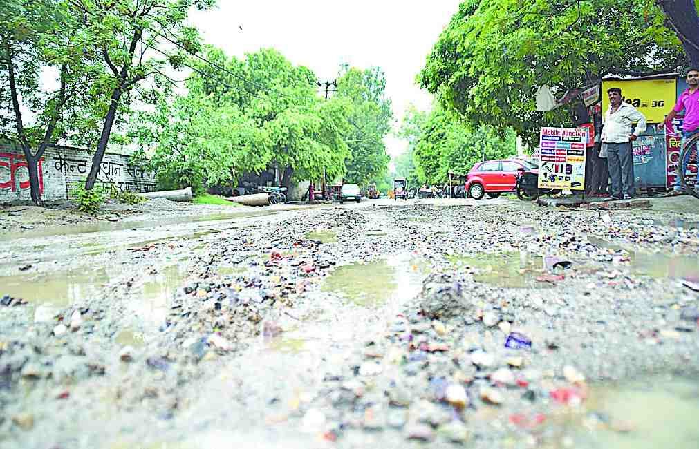 Pant in the development the "master plan"