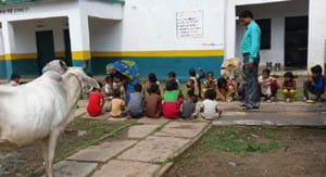 animal in school