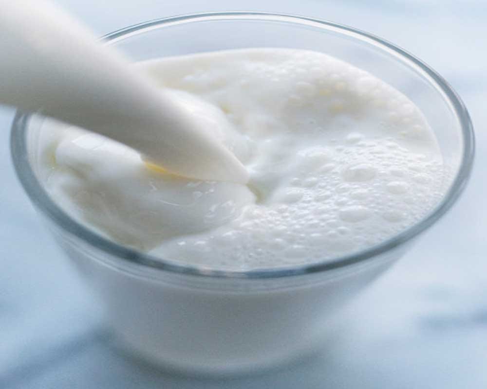 Special Training Course in Dairy Farming in Punjab