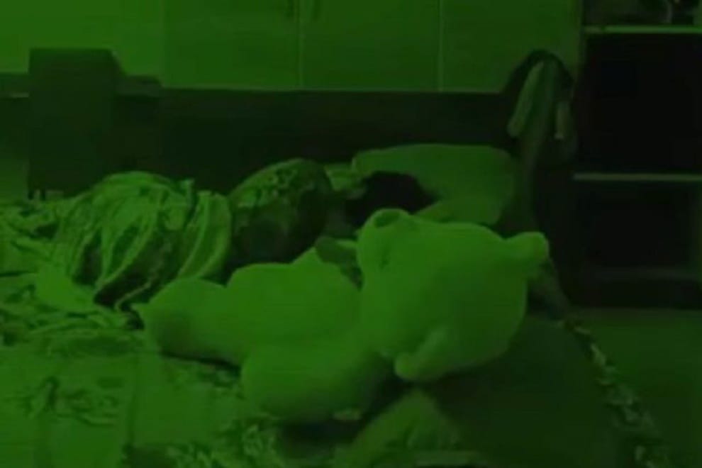 possessed teddy bear
