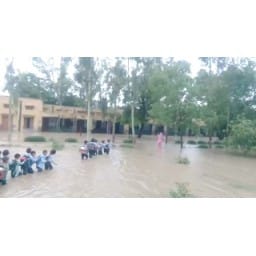Sisay Bolan government school, condem, Hisar