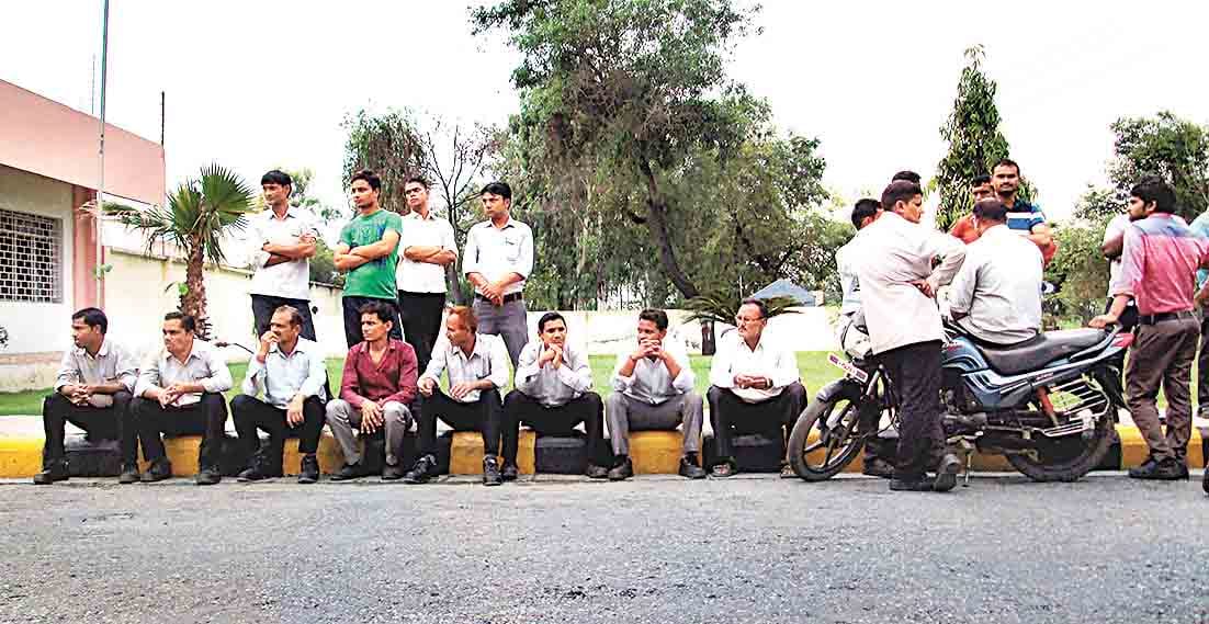 worker died in teva company