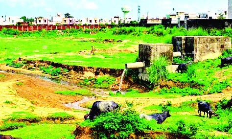 The drains and pollute the river for over Nktia