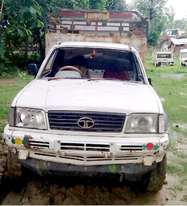 Animal theft dominate overnight, slept for police