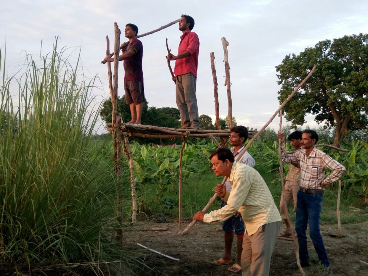 Leopard footprint in sitapur