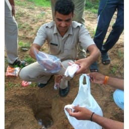 bhiwani news, crime, girl, run. lady, gent