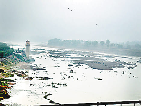 Vegetables steeped in moving water from the Ken river