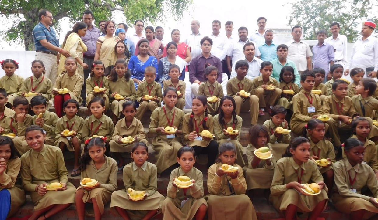 On the faces of children in schools, the fruits bloom