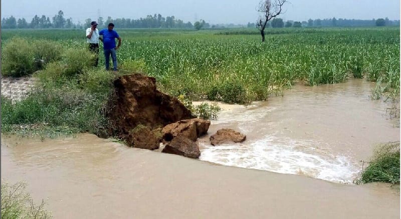 Broken rail canal, submerged crops