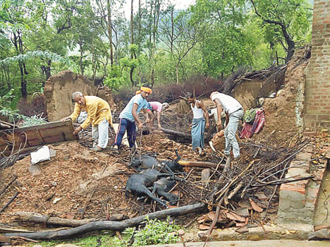 Houses collapse from rain, five goats Mrin