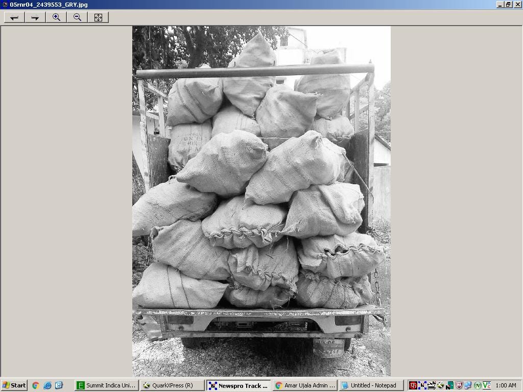 Kilmodi root bringing small elephant seized