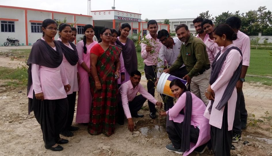 SK college two hundred saplings planted