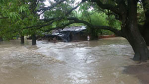 jamini dam