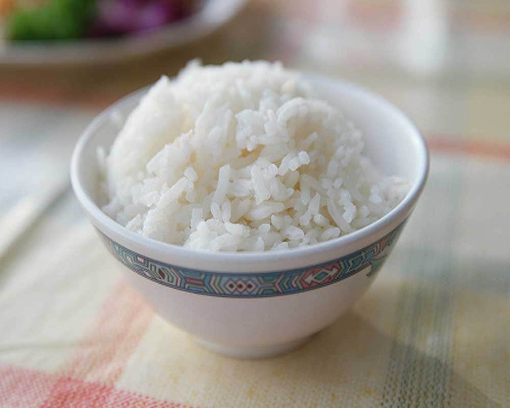 Identification of plastic rice