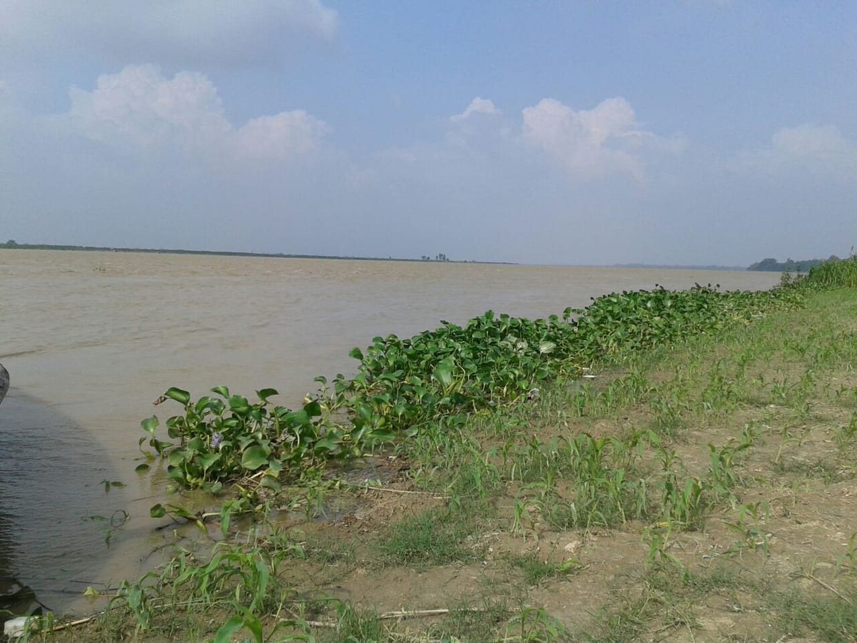 Sarayu's panic water level rise