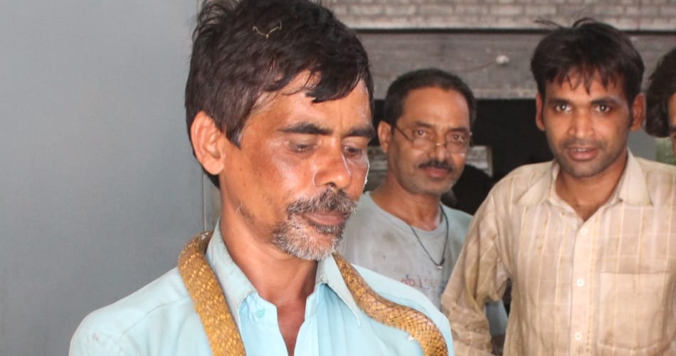 chandigarh snake fighters saleem, mehandi and ashraf profile