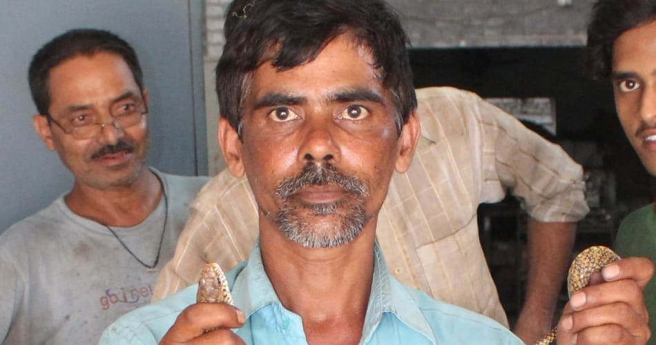 chandigarh snake fighters saleem, mehandi and ashraf profile
