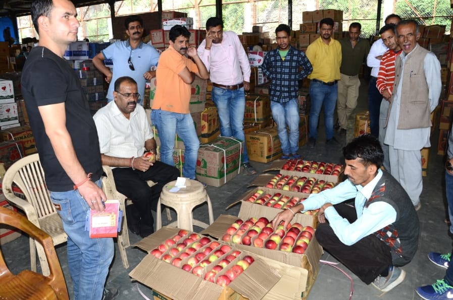 Himachali spur apple came in Market.