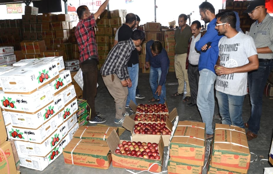 Himachali spur apple came in Market.