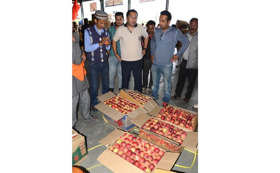 Himachali spur apple came in Market.