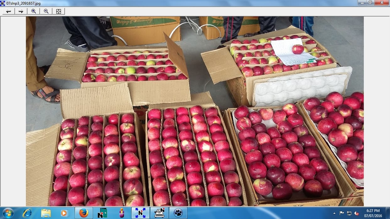 himachali apple demand in Nepal and Bangladesh