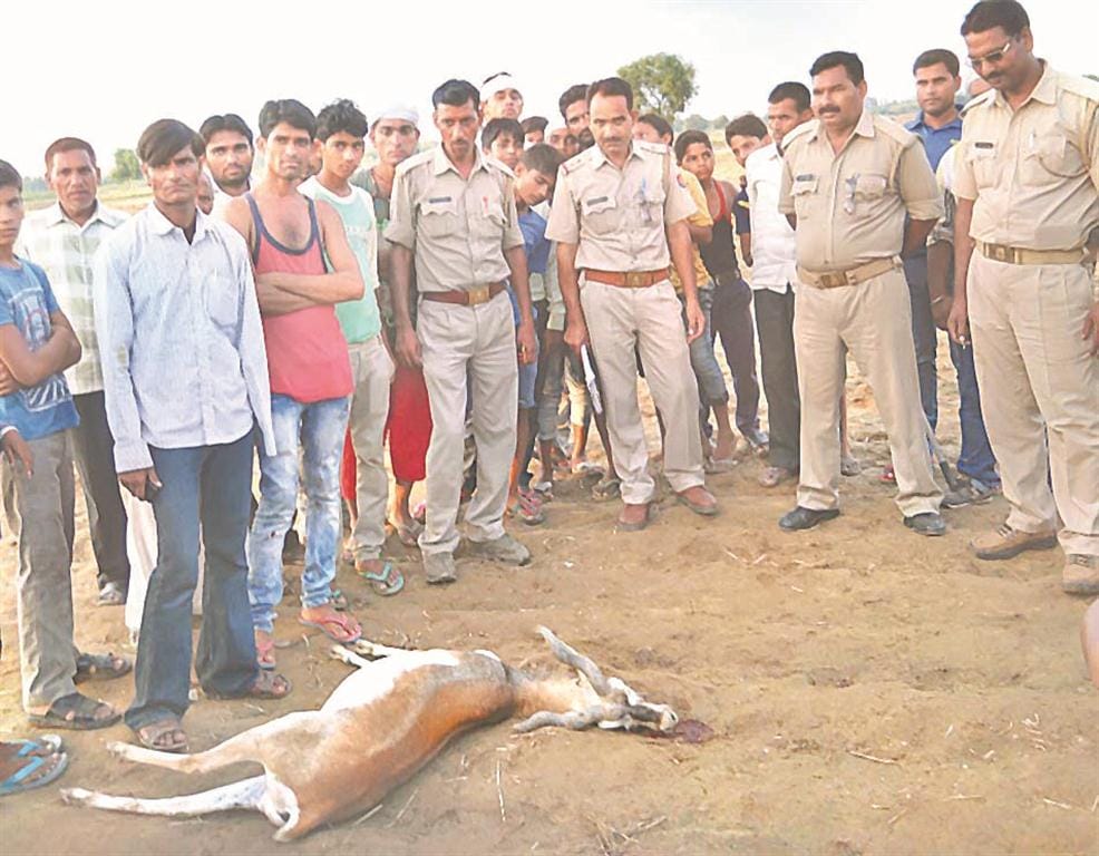 Party to celebrate the Black Buck Hunt
