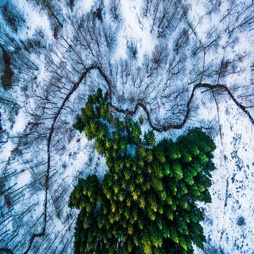 Top Drone Photos in the World