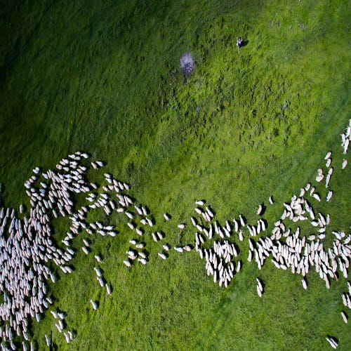 Top Drone Photos in the World