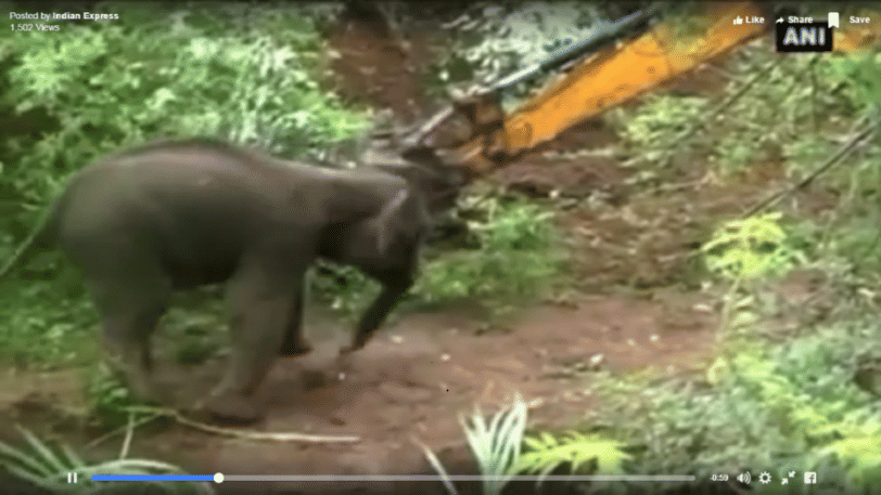 An angry elephant broke Bharat stage of solder