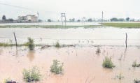 water loging, heavy rain, crops, distroyed, fatehabad, harayana