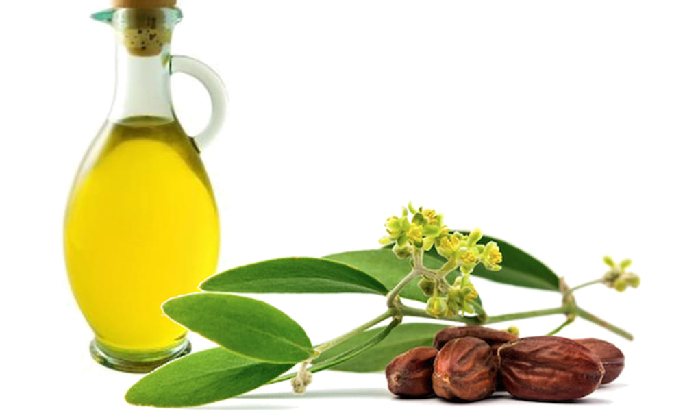 best oils for better health and skin