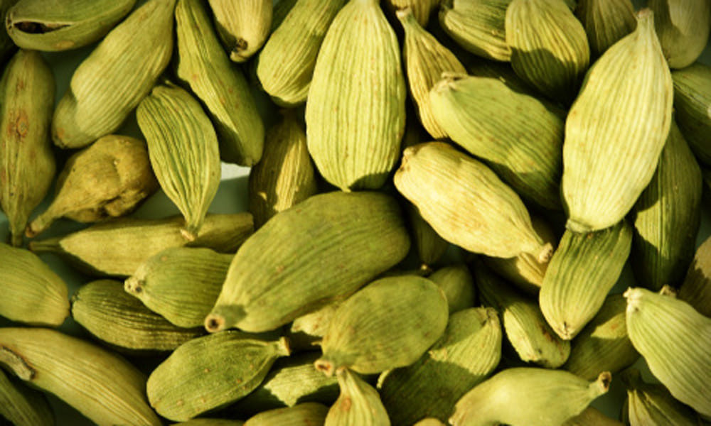 benefits of cardomom
