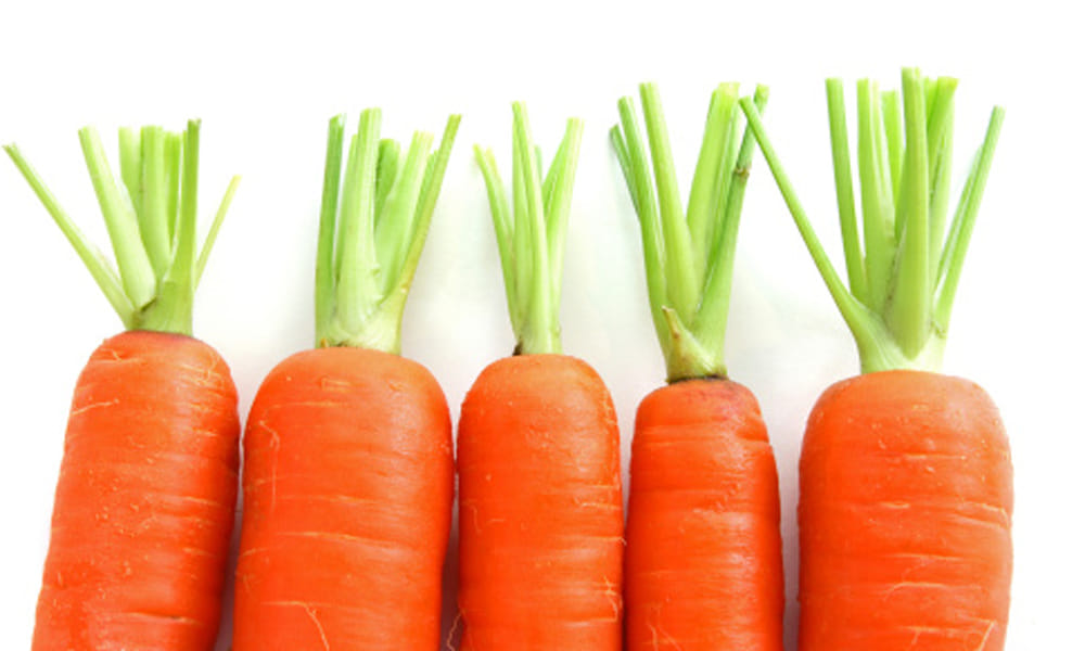 best food for skin protection
