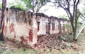 mudda belha ki virasat ka 5