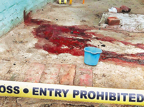Son killed mother beating