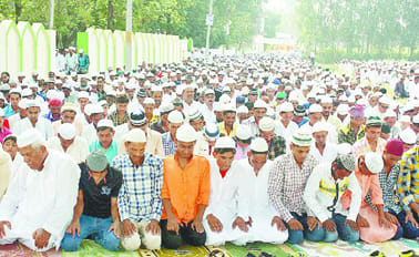 Ilm largest force in the promotion
