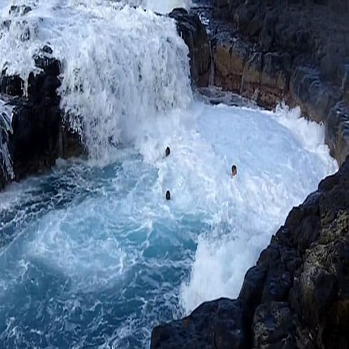 pool of death shocking video and pictures