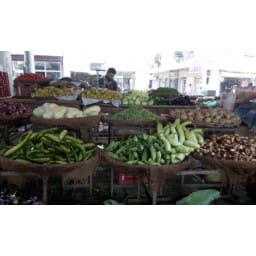 Sirsa News, Hindi News, vegitable, Sirsa